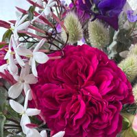 カーネーション,カーネーション,カーネーション,スイートピー,スイートピーの画像