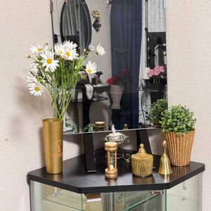 マーガレット（木春菊）,花言葉,花のある暮らし,誕生花,GS映えの画像