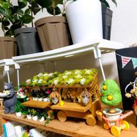 フクシア,つぶやき,北海道,ありがとう,春ですね♪の画像