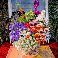 パンジー,ビオラ,寄せ植え,ガーデニング,可愛いの画像