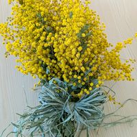 ミモザ,ミモザ,ミモザドライフラワー,手作り,可愛いの画像