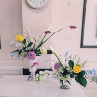 アルストロメリア,イキシア,カーネーション,カラー,トルコキキョウの画像