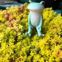 ガーベラ,細葉黄金万年草,今日のお花,コポたん,キュンキュン乙女倶楽部の画像