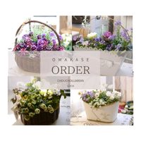 寄せ植え,オーダー,ガーデニング,母の日,母の日プレゼントの画像