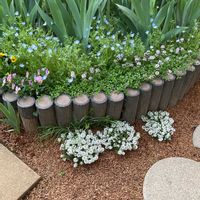 アリッサム,ジャーマンアイリス,ネモフィラ,パンジー,ビオラの画像