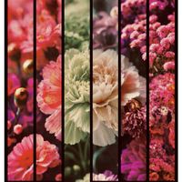 花のある暮らし,植物のある暮らし,花が好き,ありがとう♡,GSに感謝。の画像