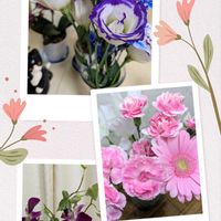 カーネーション,トルコキキョウ,切り花を楽しむ,可愛いお花達,世界に平和をの画像