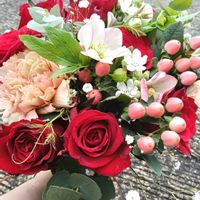 カーネーション,カーネーション,カスミソウ,カスミソウ,クリスマスローズの画像