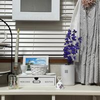 ラークスパー（ブルースプレー：千鳥草／飛燕草）,花言葉,花のある暮らし,誕生花,GS映えの画像