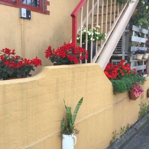 アプローチの画像