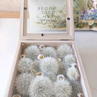 タンポポの綿毛,タンポポの綿毛,タンポポの綿毛,タンポポの綿毛,タンポポの綿毛の画像