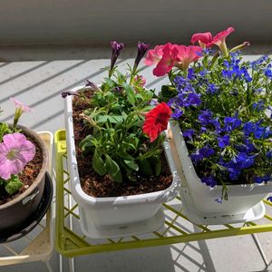 デスク,ベランダの画像