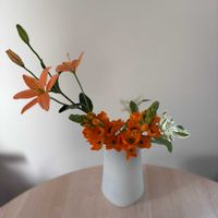 オーニソガラム,はつゆきそう,アマテラス。,キッチン,和室の画像