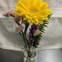 ガーベラ,スターチス,キッチンの画像