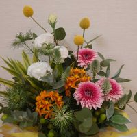 ガーベラ,クローバー,トルコキキョウ,ニゲラ,ヒペリカムの画像