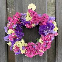 スターチスの画像