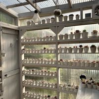 多肉植物,DIY,多肉小屋,多肉コーナー,手作り多肉小屋の画像