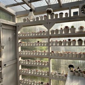 多肉植物,DIY,多肉小屋,多肉コーナー,手作り多肉小屋の画像