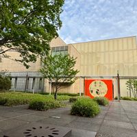 ポトス,ポトス,コグマザサ,小隈笹,小隈笹の画像