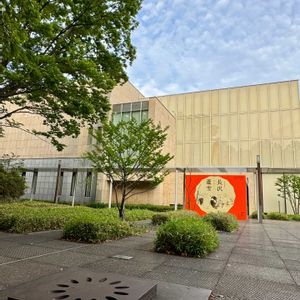 ポトス,ポトス,コグマザサ,小隈笹,小隈笹の画像