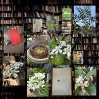 アリウム,すだちの花,花のある暮らし,真夜中の投稿,いつもそばに♡の画像