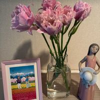 いつもありがとう♡,花日記,ピンクワールドへ ようこそ,しあわせ運べるように,花咲く乙女たち♡の画像