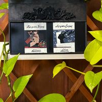 シャリンバイ,ポトス,赤鬼城,ラ･カゼッタ,多肉植物の画像