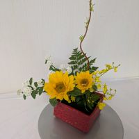 オオデマリ,ツキヌキニンドウ,エピデンドラム,チーム愛知,Juneの会の画像