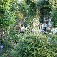 つるバラ,薔薇♪,イングリッシュガーデン,バラ・ミニバラ,バラを楽しむの画像