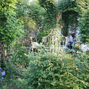 つるバラ,薔薇♪,イングリッシュガーデン,バラ・ミニバラ,バラを楽しむの画像