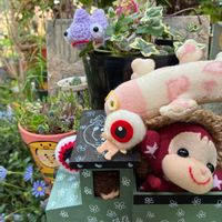 ライスフラワー,チランドシア,❤️いいね、ありがとう,繋がりに感謝✨,GSの繋がりに感謝♡の画像