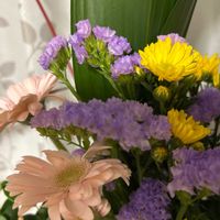 スターチスの画像