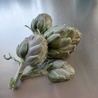 アーティチョークの画像