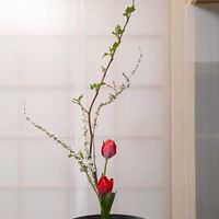 チューリップ,ユキヤナギ,キイチゴ,華道,いけばなの画像