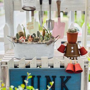 サボテン,リメイク鉢の画像