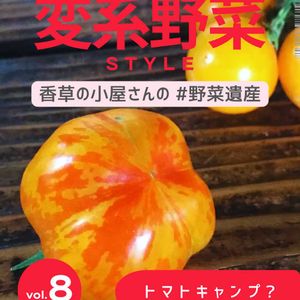 トマト,野菜のある暮らし,野菜遺産,野菜遺産PROJECT,家庭菜園の画像