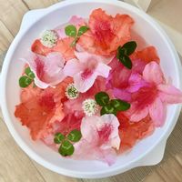 アジサイ,ツツジ,アイビー,レモンの木,家庭菜園の画像