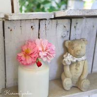 バラ,つるバラ コーネリア,バラ コーネリア,マイガーデン,庭の花の画像