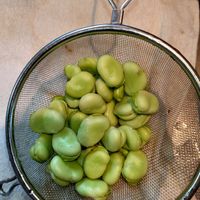 そら豆,種まき,軒下,プランター栽培,家庭菜園の画像