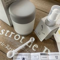 ストレリチア,ビカクシダ,スキンダプサス,オリヅルラン ボニー,姫月下美人の画像