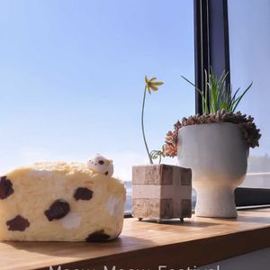 ダシフィルム,アルブカ コンコルディアナ,多肉植物,セダム属,プランターの画像