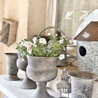 カリブラコア,八重咲きカリブラコア,花器,八重咲き,花のある暮らしの画像