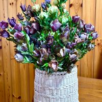 ドライフラワー,ダイニング,籐籠,お花大好き,ウォーキングの楽しみの画像