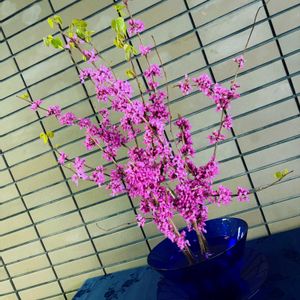 ハナズオウ,お花屋さん,熊本,春到来！,生け込みの画像