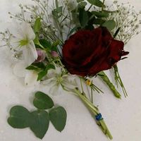 カスミソウ,カスミソウ,クリスマスローズ,バラ,バラの画像