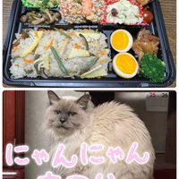 ブルーベリー,御衣黄桜（ギョイコウザクラ）,みーちゃん,手作り,ブルーベリーの花の画像