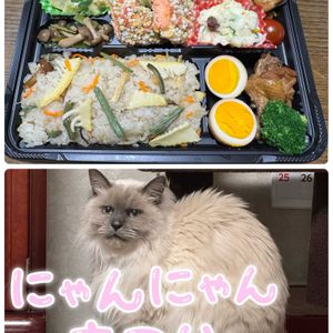 ブルーベリー,御衣黄桜（ギョイコウザクラ）,みーちゃん,手作り,ブルーベリーの花の画像