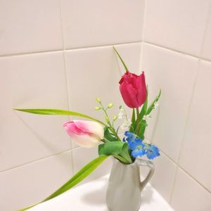 チューリップ,山野草,生け花の画像