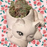 アセビ,タンポポの綿毛,ソクモン祭り,ニャンニャン祭り,みっちゃんありがとう♡の画像