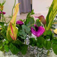 レモンバーム,ハーブ,思い出,愛知県,豊田市の画像